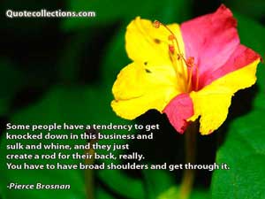 pierce_brosnan_quotes Quotes 4